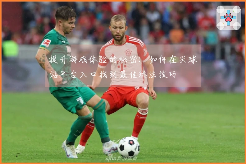 提升游戏体验的秘密：如何在买球站平台入口找到最佳玩法技巧